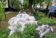 sanctiuni politia locala pitesti (2)