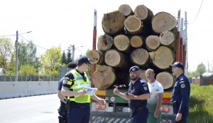 sancționarea contravențiilor silvice (2)