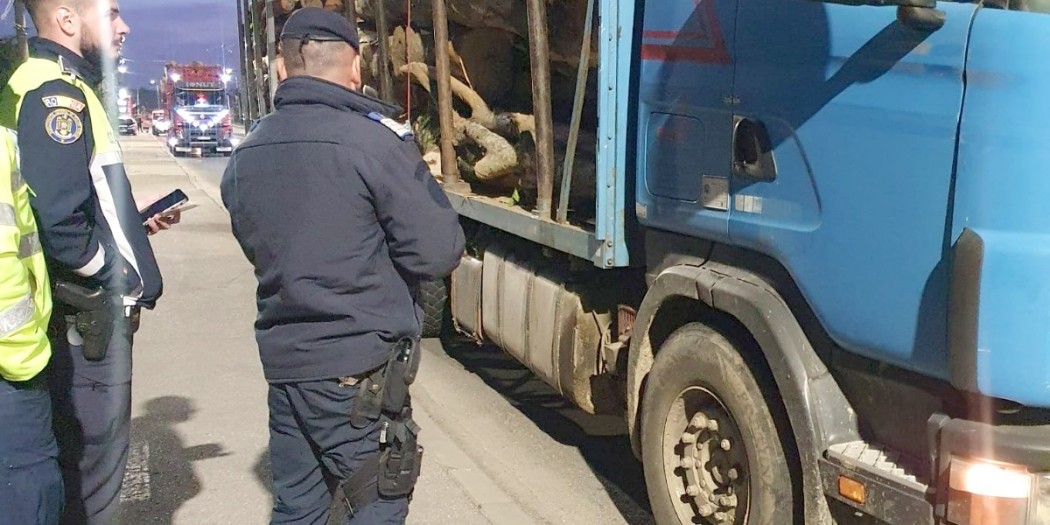 sancționarea contravențiilor silvice (4)