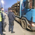 sancționarea contravențiilor silvice (4)