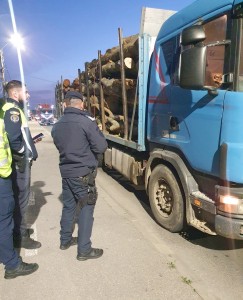 sancționarea contravențiilor silvice (4)