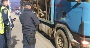 sancționarea contravențiilor silvice (4)
