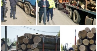 sancționarea contravențiilor silvice (4)