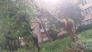 vreme severa arges (3)