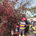 vreme severa arges (4)