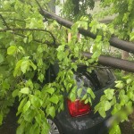vreme severa arges (5)