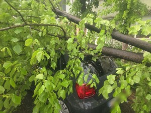 vreme severa arges (5)