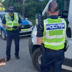filtru politie arges- draganu si poiana lacului (10)