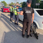filtru politie arges- draganu si poiana lacului (11)