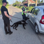 filtru politie arges- draganu si poiana lacului (5)