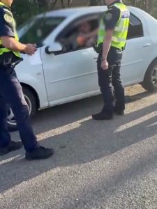 filtru politie arges- draganu si poiana lacului (7)