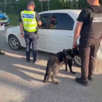 filtru politie arges- draganu si poiana lacului (8)