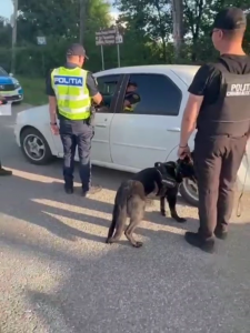 filtru politie arges- draganu si poiana lacului (8)