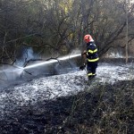 incendii-vegetatie-arges (1)
