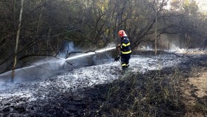 incendii-vegetatie-arges (1)