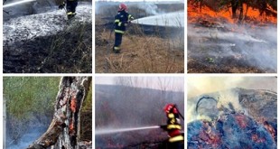 incendii-vegetatie-arges (1)