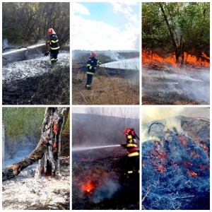 incendii-vegetatie-arges (1)