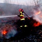 incendii-vegetatie-arges (5)