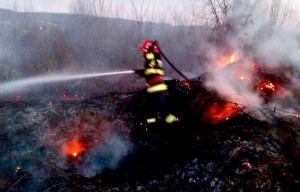 incendii-vegetatie-arges (5)
