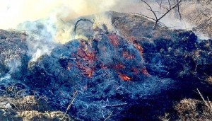 incendii-vegetatie-arges (6)