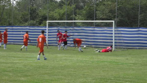 lupii perofa - voineasa (27)