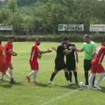 lupii perofa - voineasa (4)