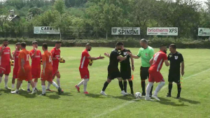 lupii perofa - voineasa (4)